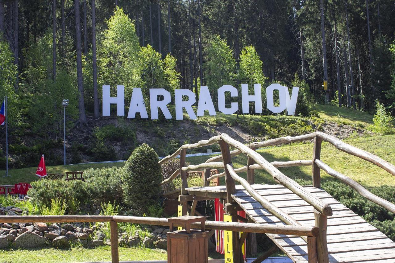 Enjoy Harrachov - Atraktivní slunné studio Čertovka v centru Harrachova s herní konzolí, Netflix, jedinečným výhledem na Čertovu horu a areál skokanských můstků se sjezdovkou Exterior foto